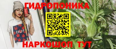 крисы Железногорск