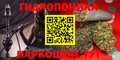 крисы Железногорск